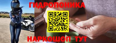 трава Кандалакша