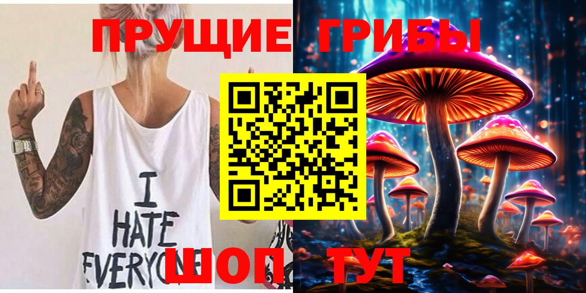 Галлюциногенные грибы Psilocybine cubensis  Вход с VPN  Арсеньев  наркошоп  Псилоцибиновые грибы Cubensis 